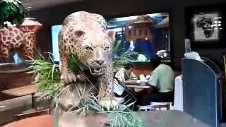 Zoo themed McDonald's