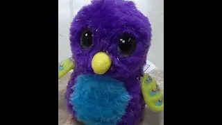 Hatchimals Glittering Garden Shimmering Draggle Interactive Toy PURPLE & BLUE Dragon Bird SOLD