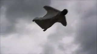 Wingsuit vertical 