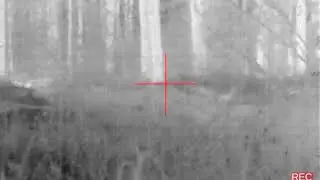 Flir pts233 1st video