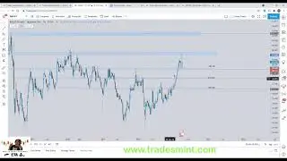 Edz Academy (live trading)