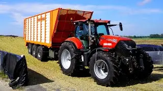 Mais 2025 | Claas Jaguar 980 12 rows | New BLW | Case 721F | Case IH | Rovers Boekel | Maishakselen
