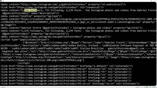 Web Scraping Instagram with Python using Multiple Threads and BeautifulSoup
