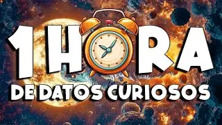 &iexcl; 1 HORA sin pausas de DATOS CURIOSOS y COSAS QUE NO SAB&Iacute;AS ! ⏰😲779 #curioman&iacute;atv