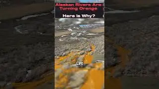 Alaskan Rivers Are Turning Orange - Here is Why! #trendingnowreels  #climatechange #climatecrisis