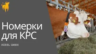 Номерки для ошейников КРС - Kerbl