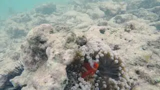 Travelling Biak Island In Papua