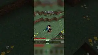 Minecraft Seed! [ Beautiful Spawn and Glitches ]