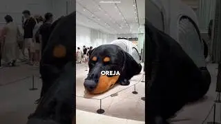 ¡El Perro Que Nadie Se Atreve A Desafiar! 😱#shorts