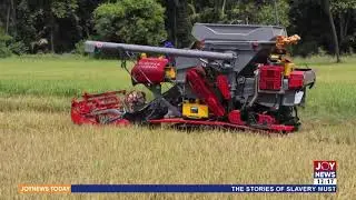 Rice Production: Thai companies sign MoU to boost Ghana's rice production - JoyNews