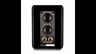 Aperion RST Aluminum Ribbon Super Tweeter Speaker Pair Review