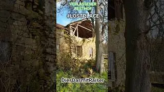 LOST PLACE: VERLASSENER RESTHOF, Mauer verschwunden 🌿🏚 #shorts