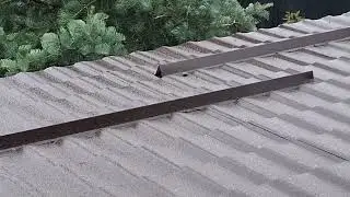 Măzăriche în dimineața zilei de 8 ianuarie 