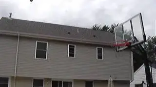 Just the net