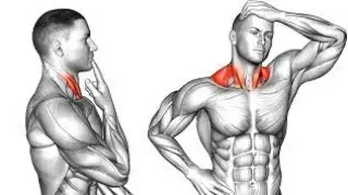 Bulk Up Your Neck Muscles Instantly - No Weights Needed!