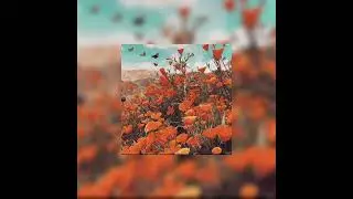 Bruno is Orange - hop along (SPED UP)