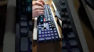 키크론 K10 Pro K Pro 저소음적축 (안정기윤활) 타건 Keychron K10 Pro Silent Red (Stabs Lubed) Sound Test