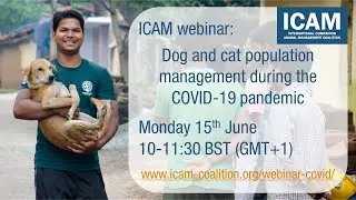 ICAM webinar: Dog and cat population management during the COVID-19 pandemic