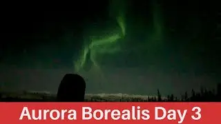 We saw the Aurora Borealis! Alaskan Dog Sledding. Bucket List! Northern Lights!