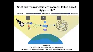 Zoe Todd - What can the planetary environment tell us about origins of life?