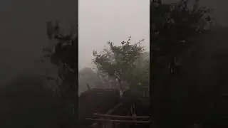 Cyclone in Asansol#shortsfeed #shortsyoutube #shortvideo #shorts #short