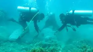 Reefbuddy Charisse Tayag CA USA