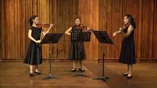 F.Hermann Capriccio for 3 Violins in D minor, Op. 2