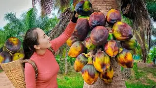 Harvesting Sugar Palm Fruit & Go to Market Sell - Process palm fruit and eat with the baby|Surviving