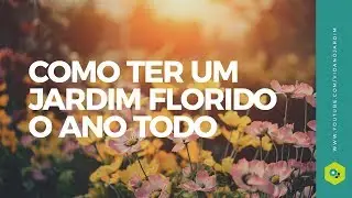 Como ter um jardim florido o ano todo