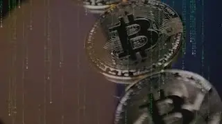 Bitcoin and frozen turkeys | Indiana crypto currency investigation stops massive poultry theft