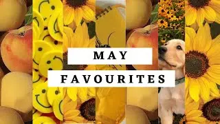 MAY MONTHLY FAVOURITES 2022