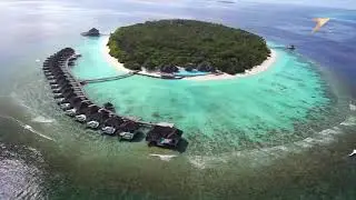 Dusit Thani Maldives | Resort Overview