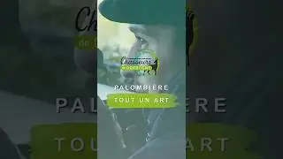 FDC 24 | La palombi&egrave;re, tout un art