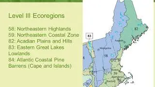 Common Orchid Project Program Overview Video