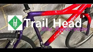 Mid 90s Bike Restoration - Cannondale F600 Delta V