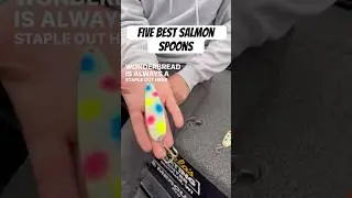 Five Top Spoons For Lake Michigan Salmon!  Captain Cody Solberg offers up his favorites. #fishing