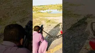 snipe hunting #birdhunting #airgun #pcphunters #hunting #villagelife #airgunhunting #huntingbirds