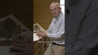 The Man Who Collected 50,000 Plants