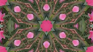 Rose Laurel Kaleidoscope 🌸 | Soothing Visual Meditation with Nostalgic Music | Relaxation in 1080p