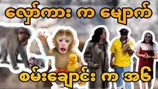 လှော်ကား က မျောက်် စမ်းချောင်း က အ ၆