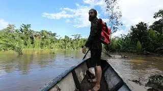 Flood Disaster in the jungle Part TWO