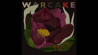 Warcake- Solid Potential