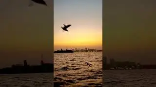 Experience the majestic ferry ride from gateway of India: A must-do in Mumbai