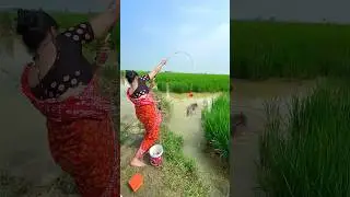 Amazing hook fishing by village lady in the rice field water catch monster fish #fishing #shorts
