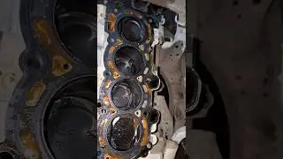 Head gasket replacement #hyundai #car #automobile #mechanic