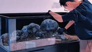 amazing aquariums and reefs, setting and management of freshwater aquarium, Stream tank landscaping