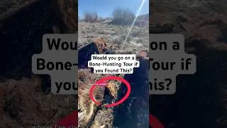 Would you go on a bone-hunting tour if you found these dead cattle?