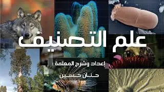 الصف السابع : علم التصنيف