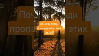 Почему люди пропадают в этих лесах?