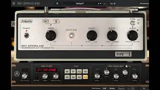 Rev SPRING 636 06